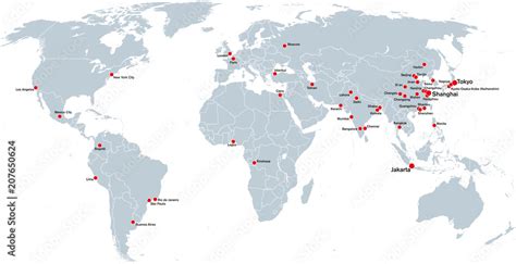 Megacities of the World .